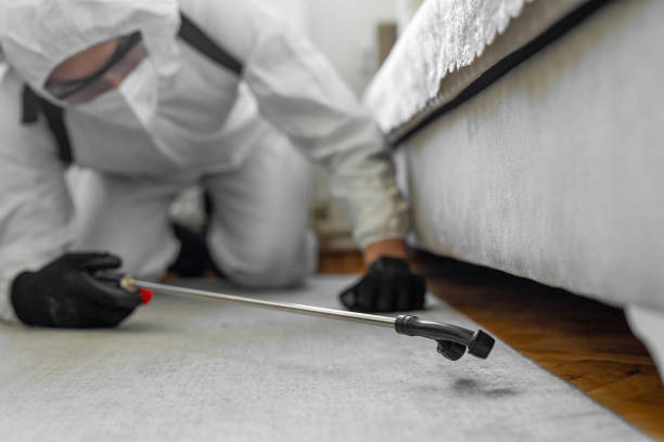 Professional Termite Control technician working in Anza, CA