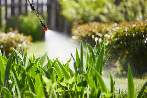 24/7 Emergency Termite Control experts in Anza, CA